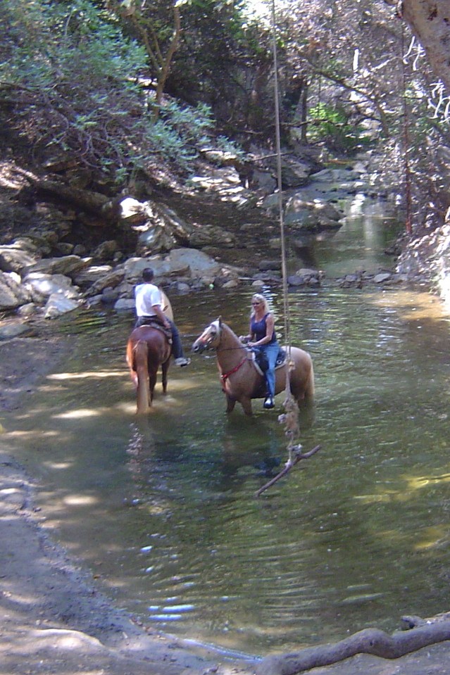 rayraeannpond091306.jpg